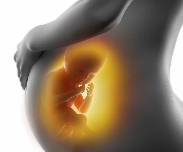 怀孕早期阴道出血的原因